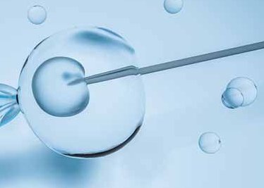 鲜胚质量一般达到几级才移植？