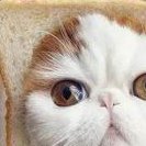 郑州做三代试管哪个医院会比较好？郑州做试管婴儿多少钱？