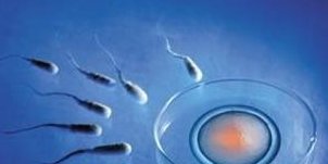 上海瑞金医院做试管婴儿女性应该挂什么科室检查？