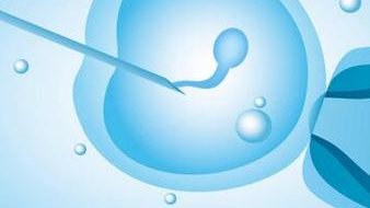 青少年会不育吗（青少年不育可以治疗吗）