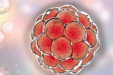 多囊促排多次都失败怎么办？