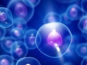 江西省妇保做试管谁最厉害？哪个医生做试管成功率高？