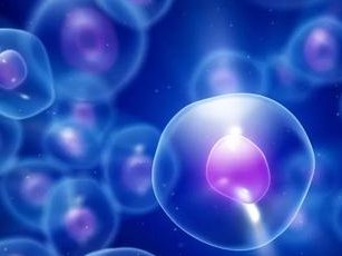 试管打夜针后切忌剧烈运动，这些注意事项都得记心上